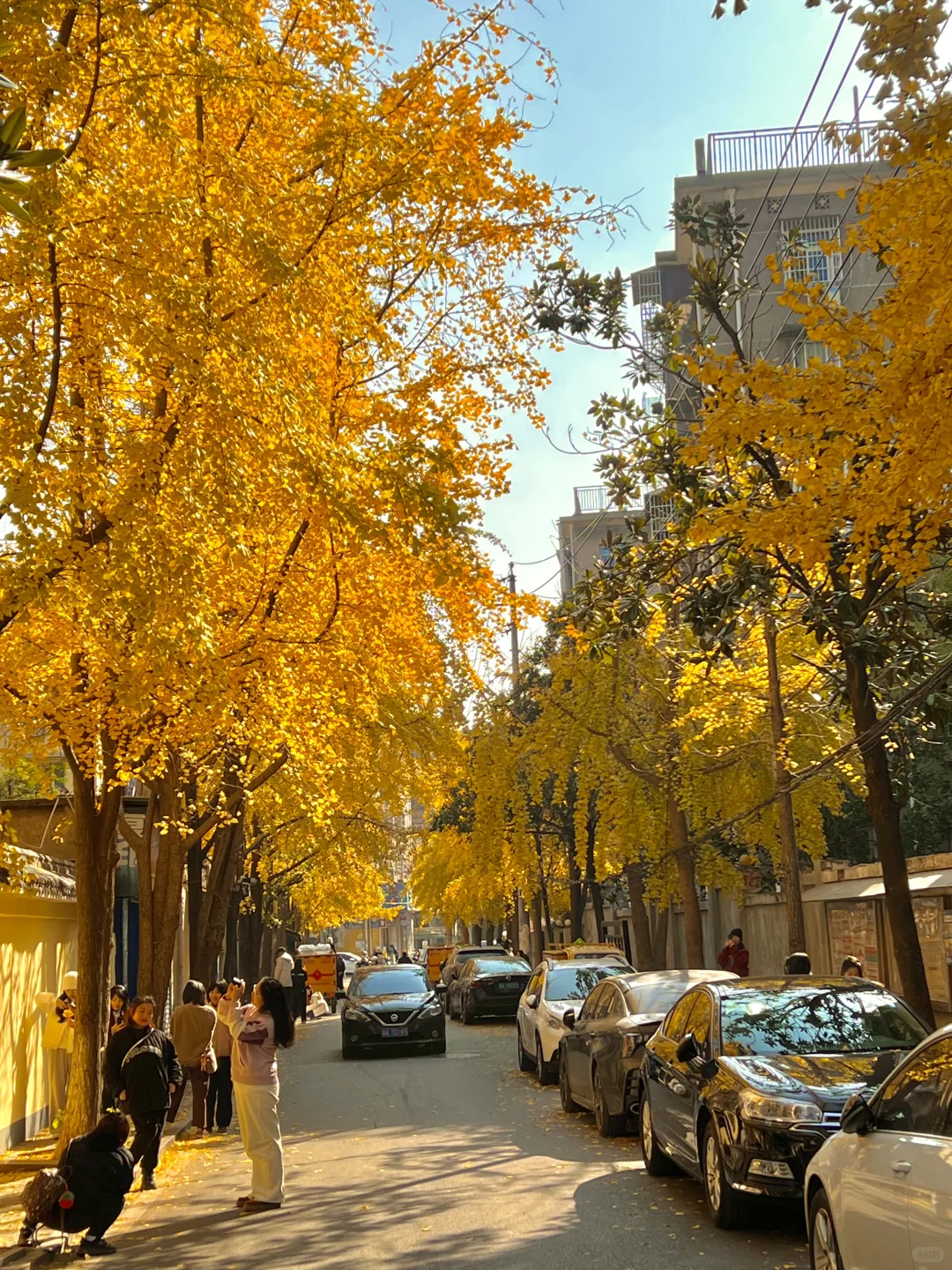 长沙！！老舍笔下的秋！！！