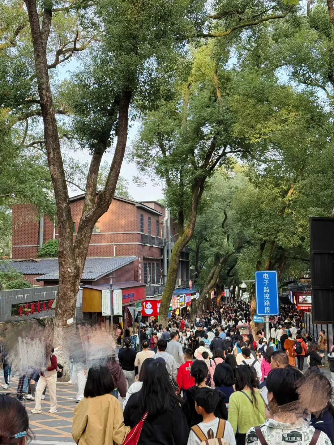 今天的岳麓山爱晚亭人山人海