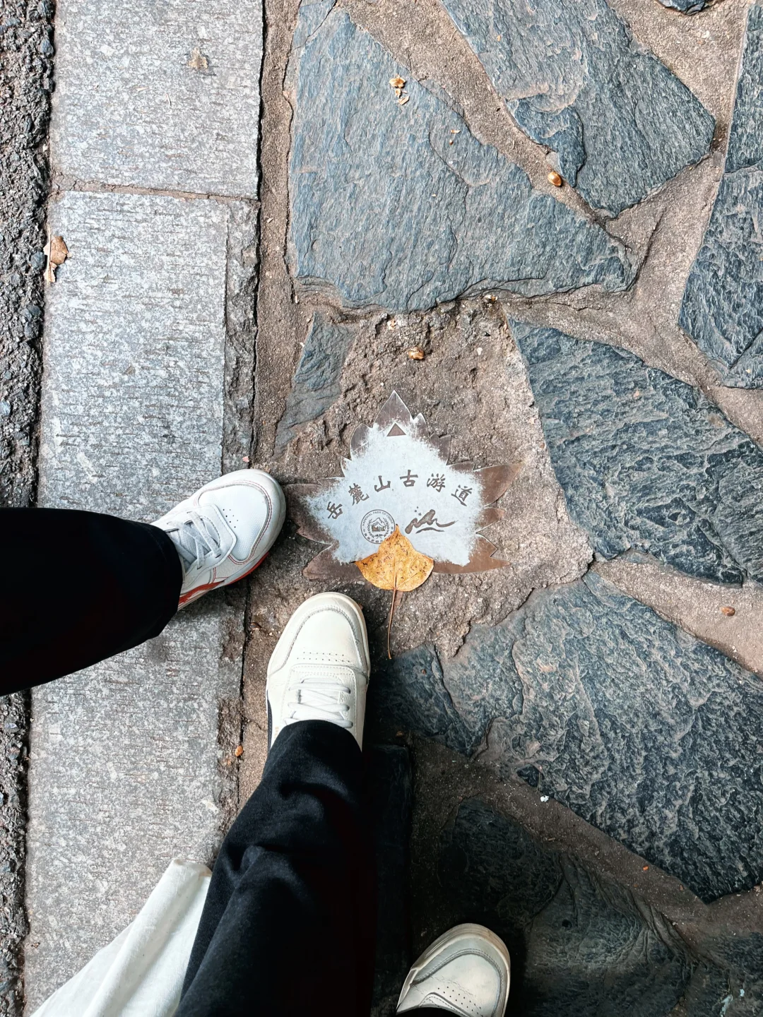 秋假第二天，橘子洲、岳麓山