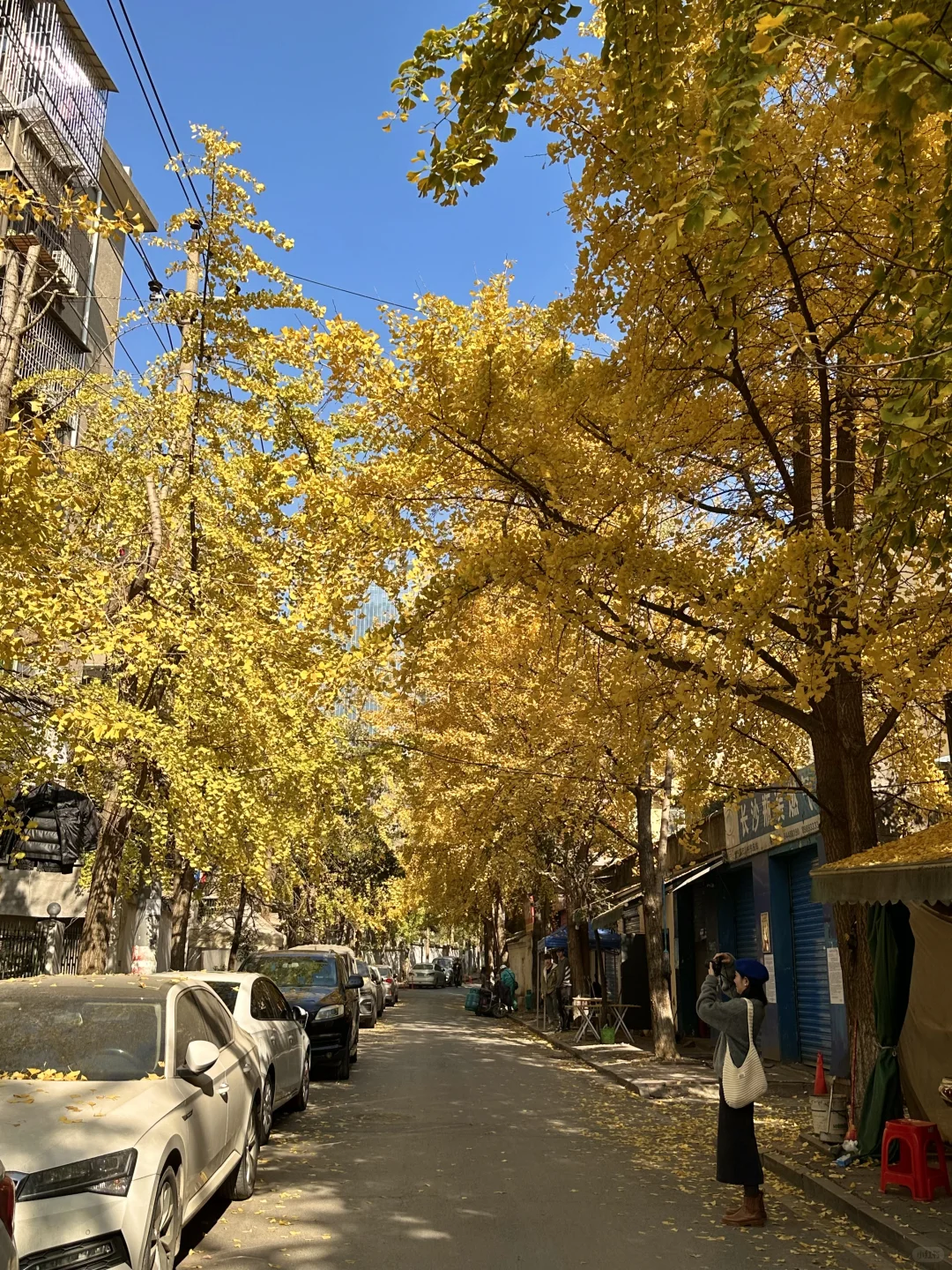 接下来的长沙，比想象中的还要美（附打卡攻略