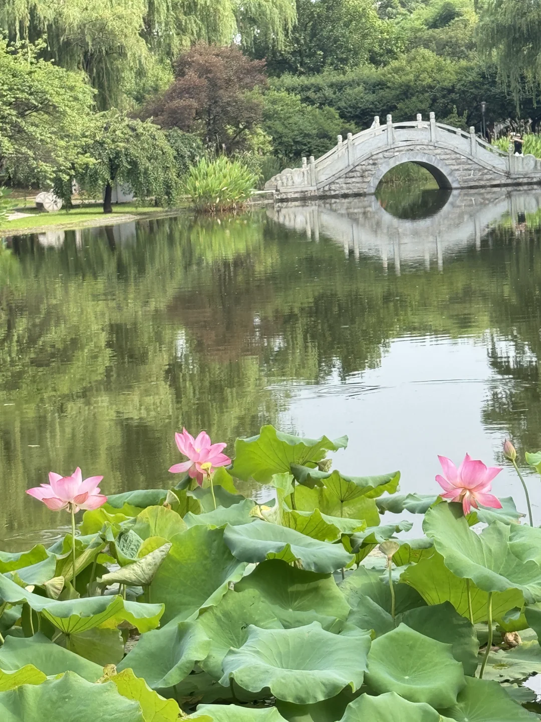 长沙已回！🍊橘子洲避坑指南