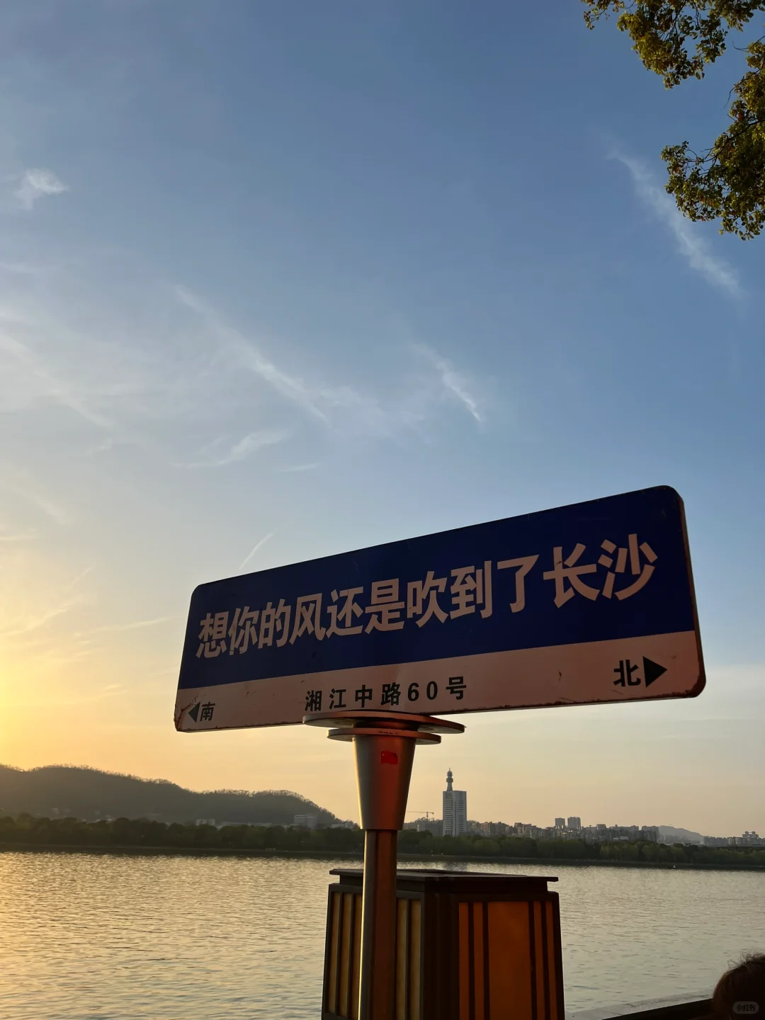 想你的風還是吹到了長沙🍃