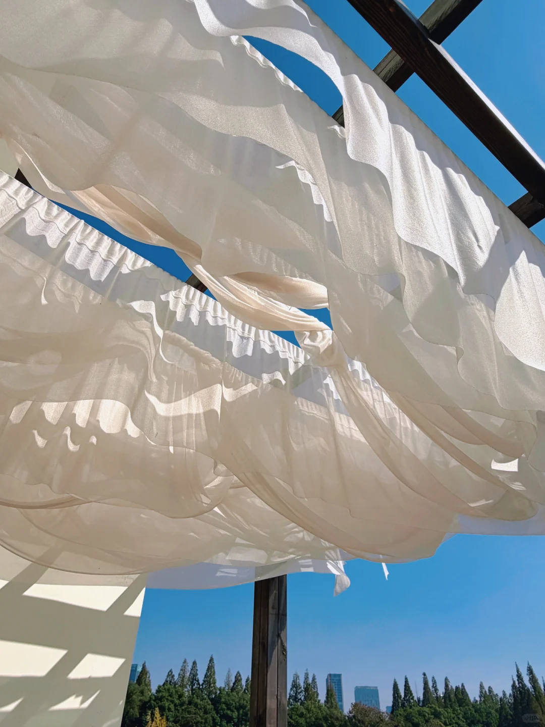 11.14实况！长沙的秋天简直美绝了～