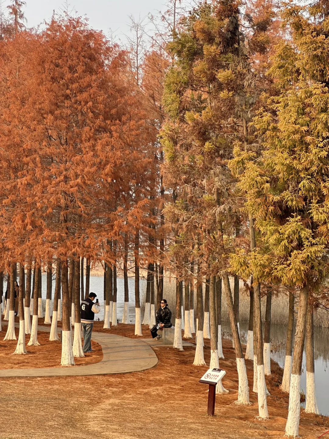 接下来的长沙，比想象中的还要美（附打卡攻略