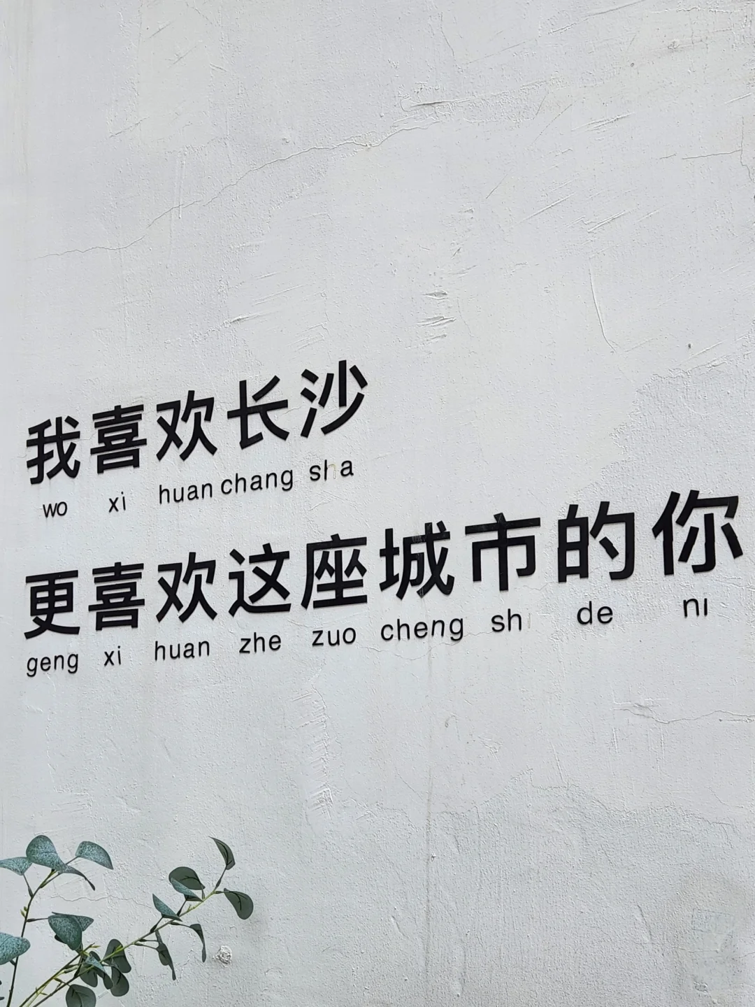 🇲🇾 想你的风把我吹到了长沙 🇨🇳