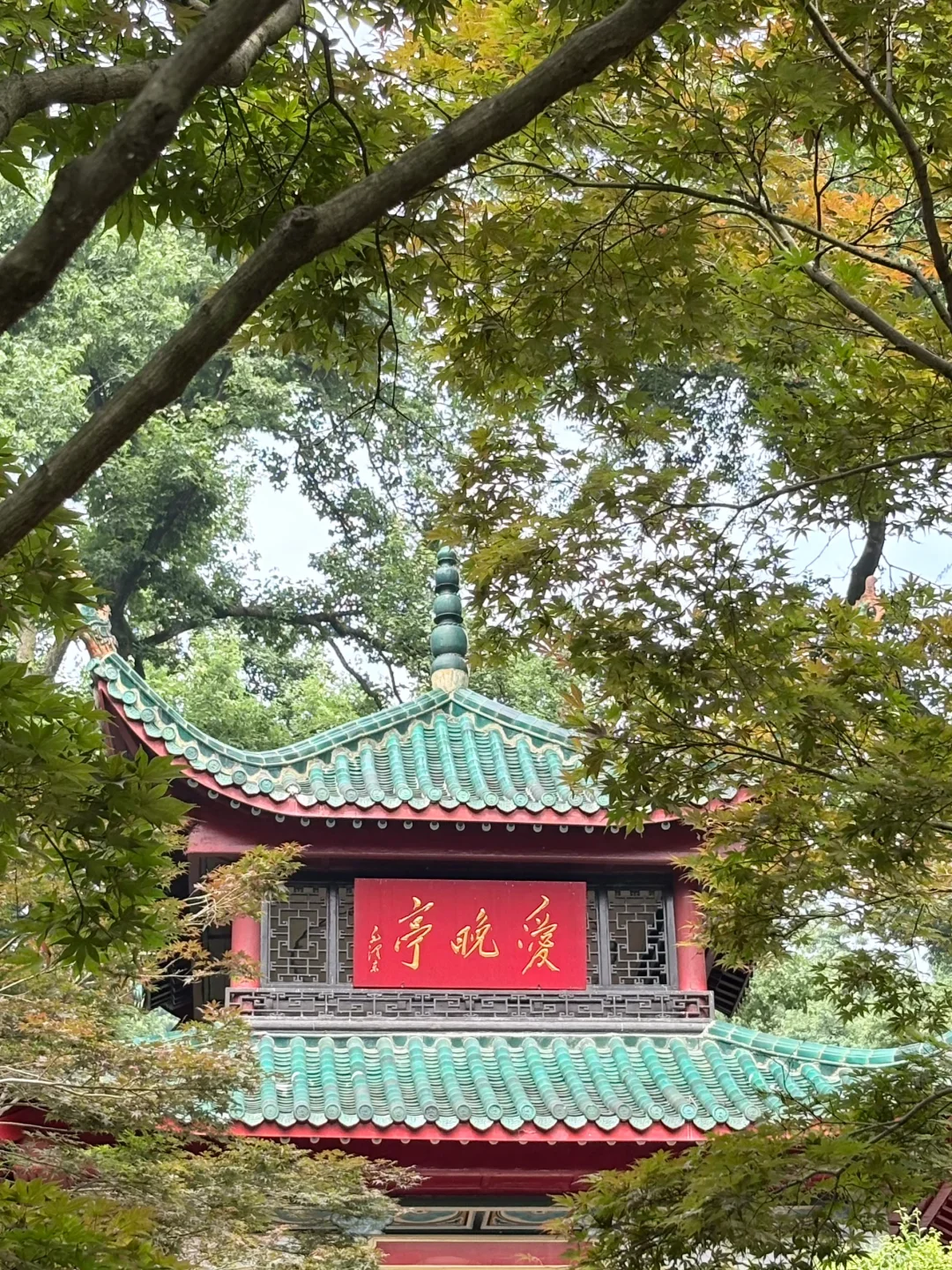 女大周末特种兵旅游之长沙