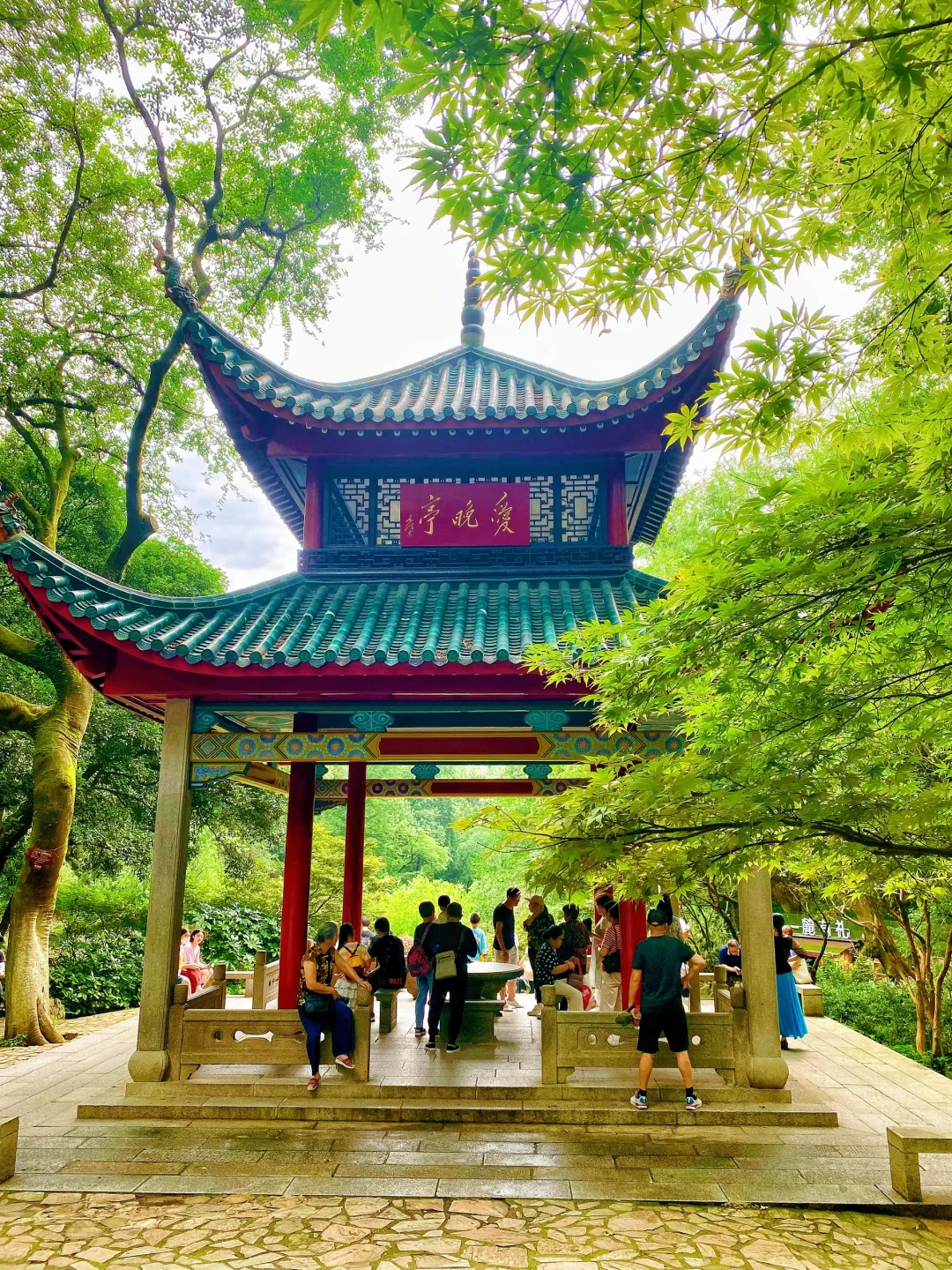 在长沙拍到这18张照片，被朋友问爆了❗️