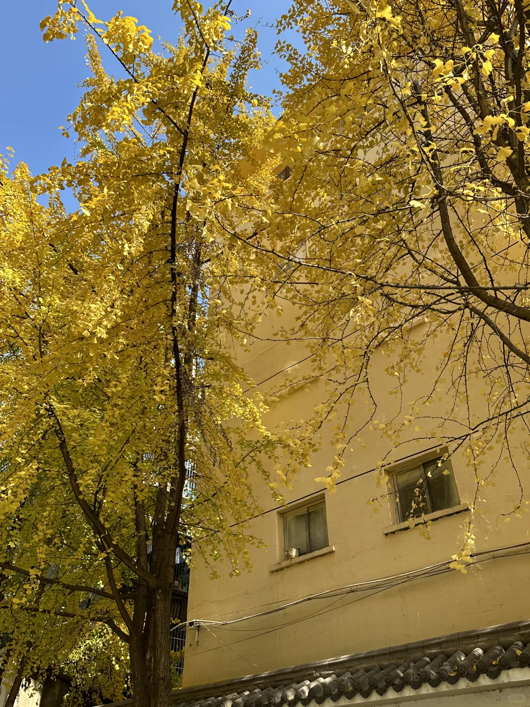 接下来的长沙，比想象中的还要美（附打卡攻略