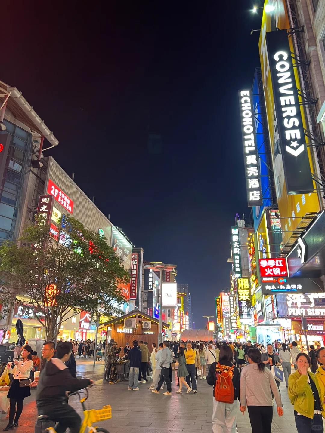 想你的風還是吹到了長沙🍃