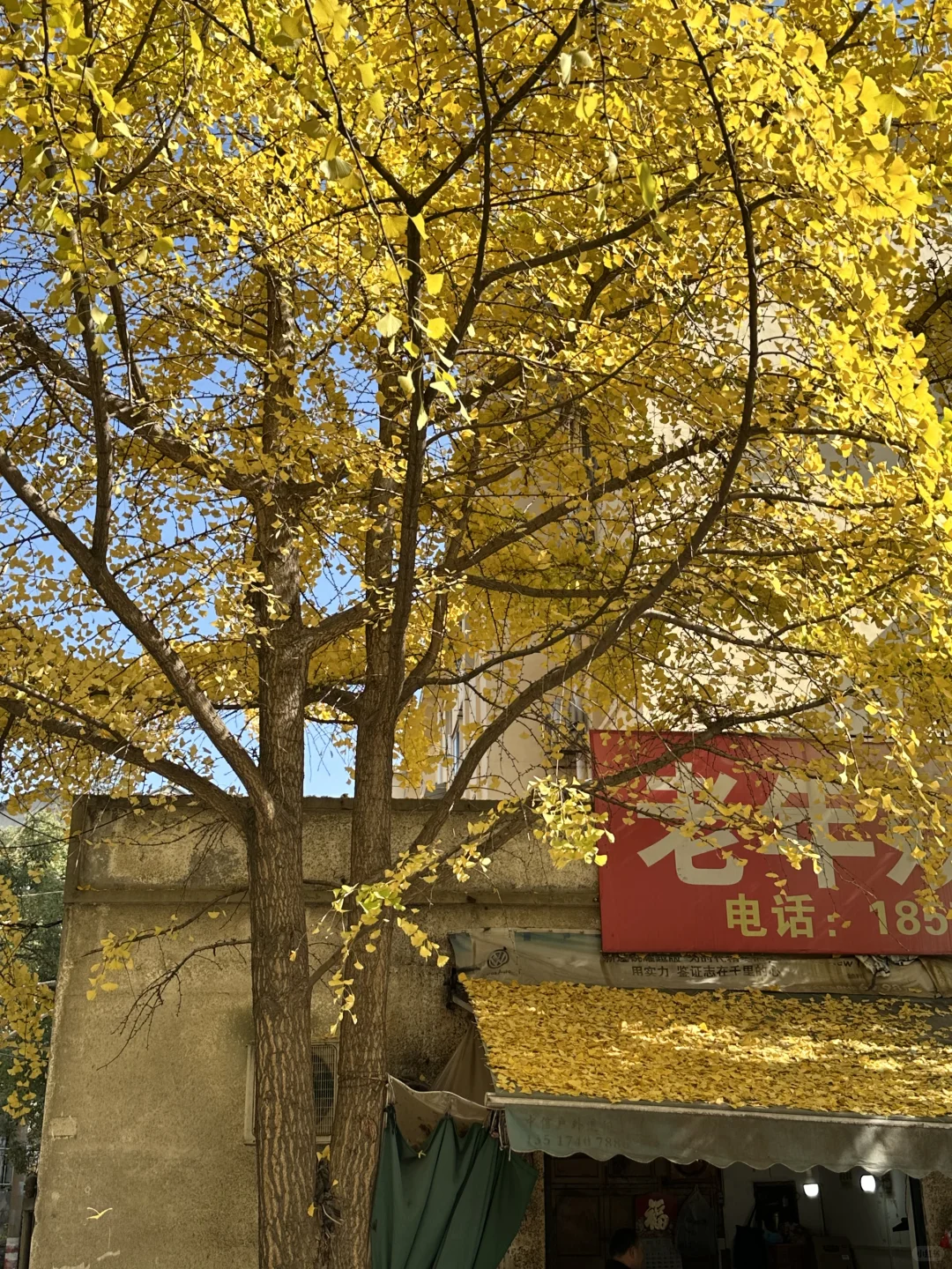 接下来的长沙，比想象中的还要美（附打卡攻略