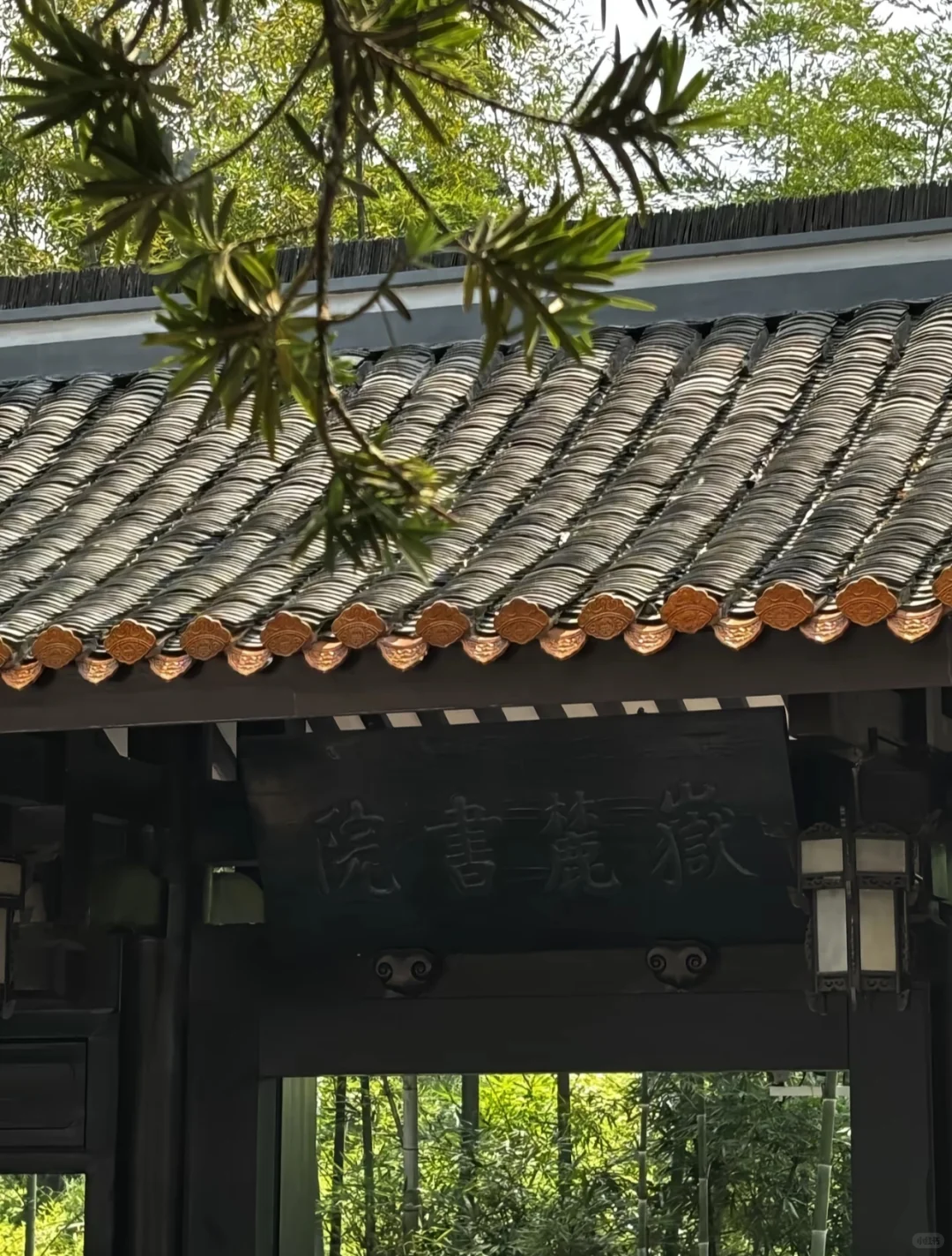 本地人私藏后花园，外地游客必打卡文化地标