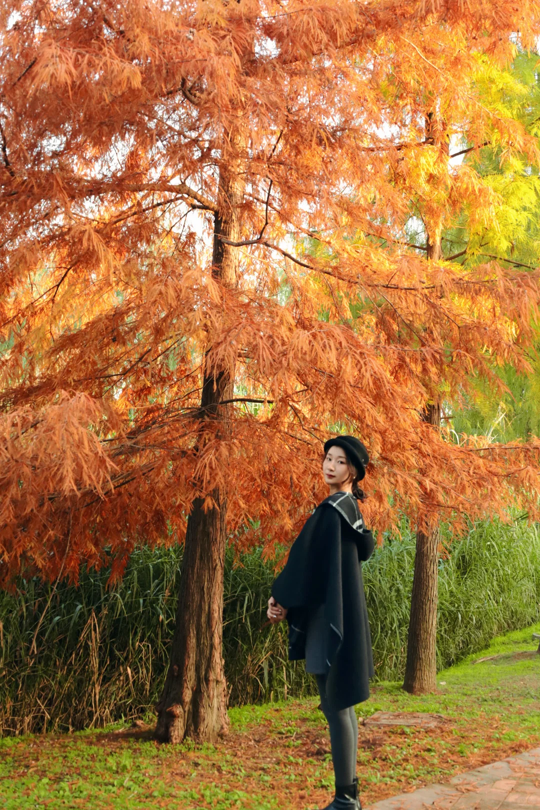 后滑看常德除了银杏还有什么？