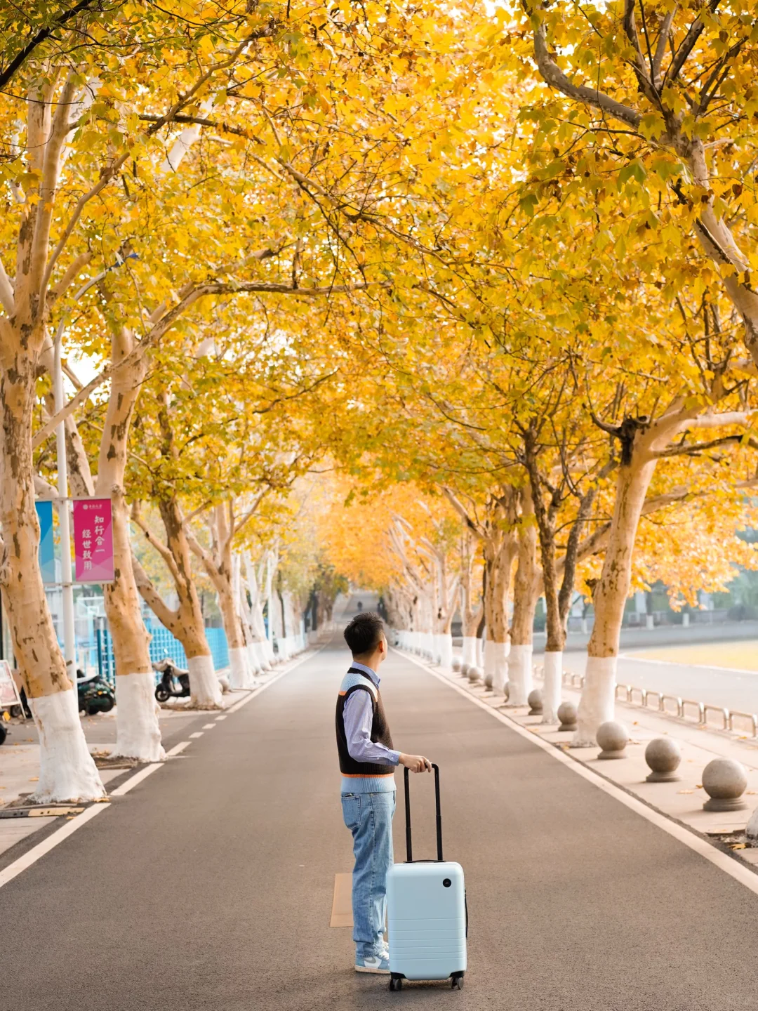 接下来的长沙🍂将迎来属于它的秋日高光时刻
