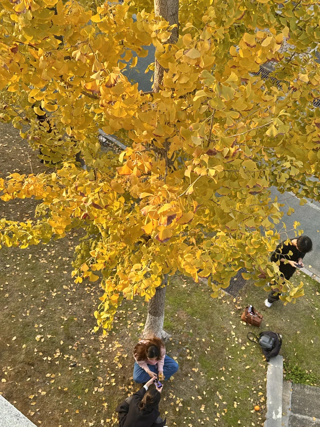 接下来的长沙，比想象中的还要美（附打卡攻略