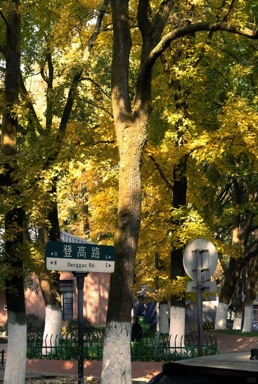 本地人私藏后花园，外地游客必打卡文化地标