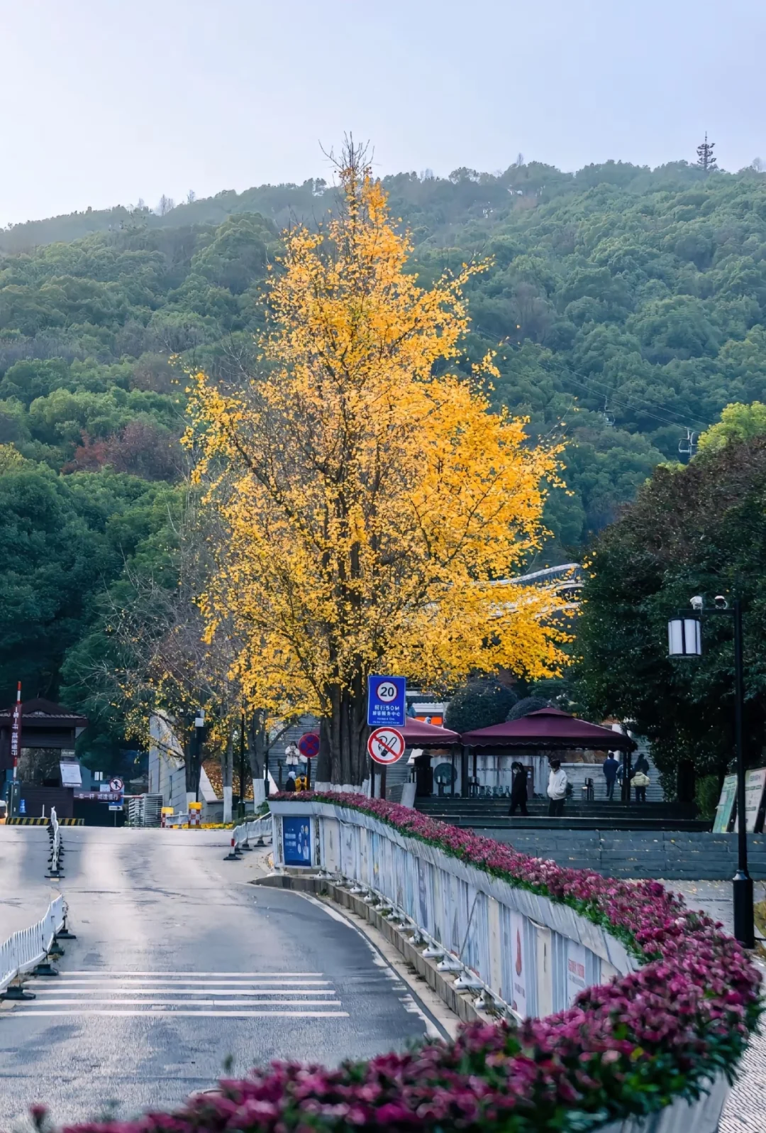 本地人私藏后花园，外地游客必打卡文化地标