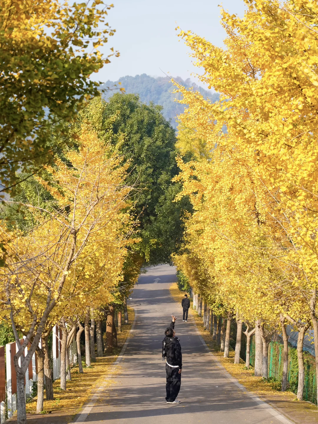 接下来的长沙🍂将迎来属于它的秋日高光时刻