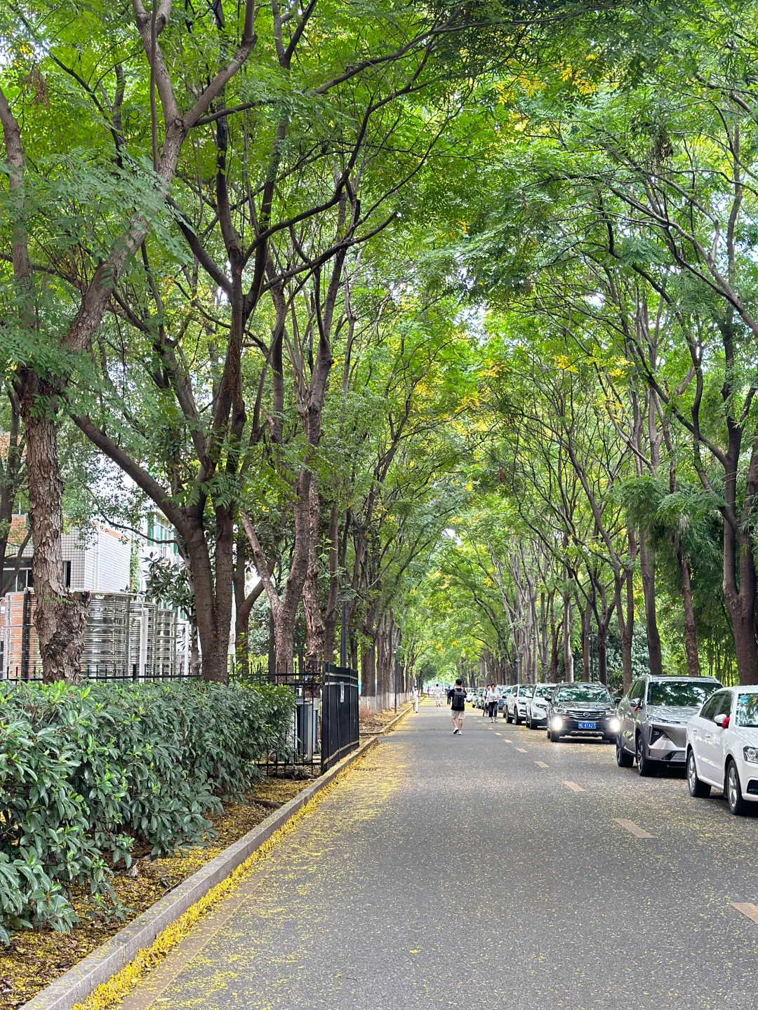 常德刚回！吐🩸整理出来的超全攻略，非常全❗️