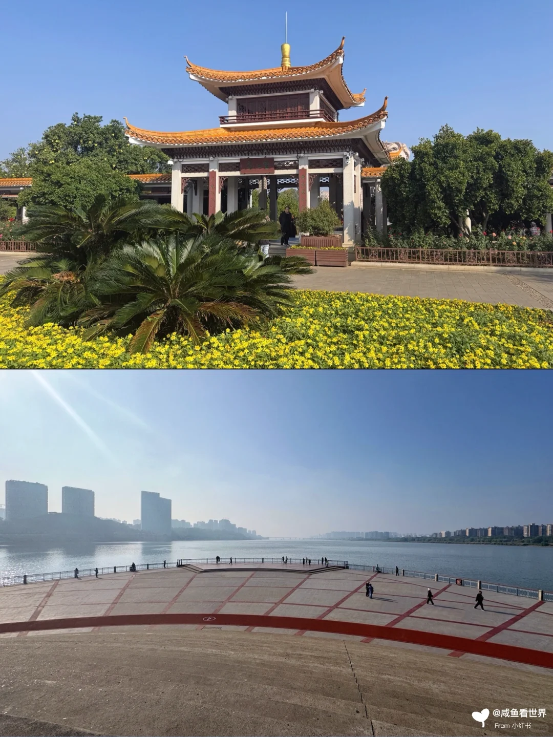 📍橘子洲｜长沙文化名片🍊