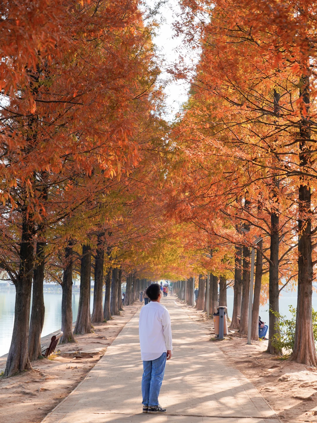 接下来的长沙🍂将迎来属于它的秋日高光时刻