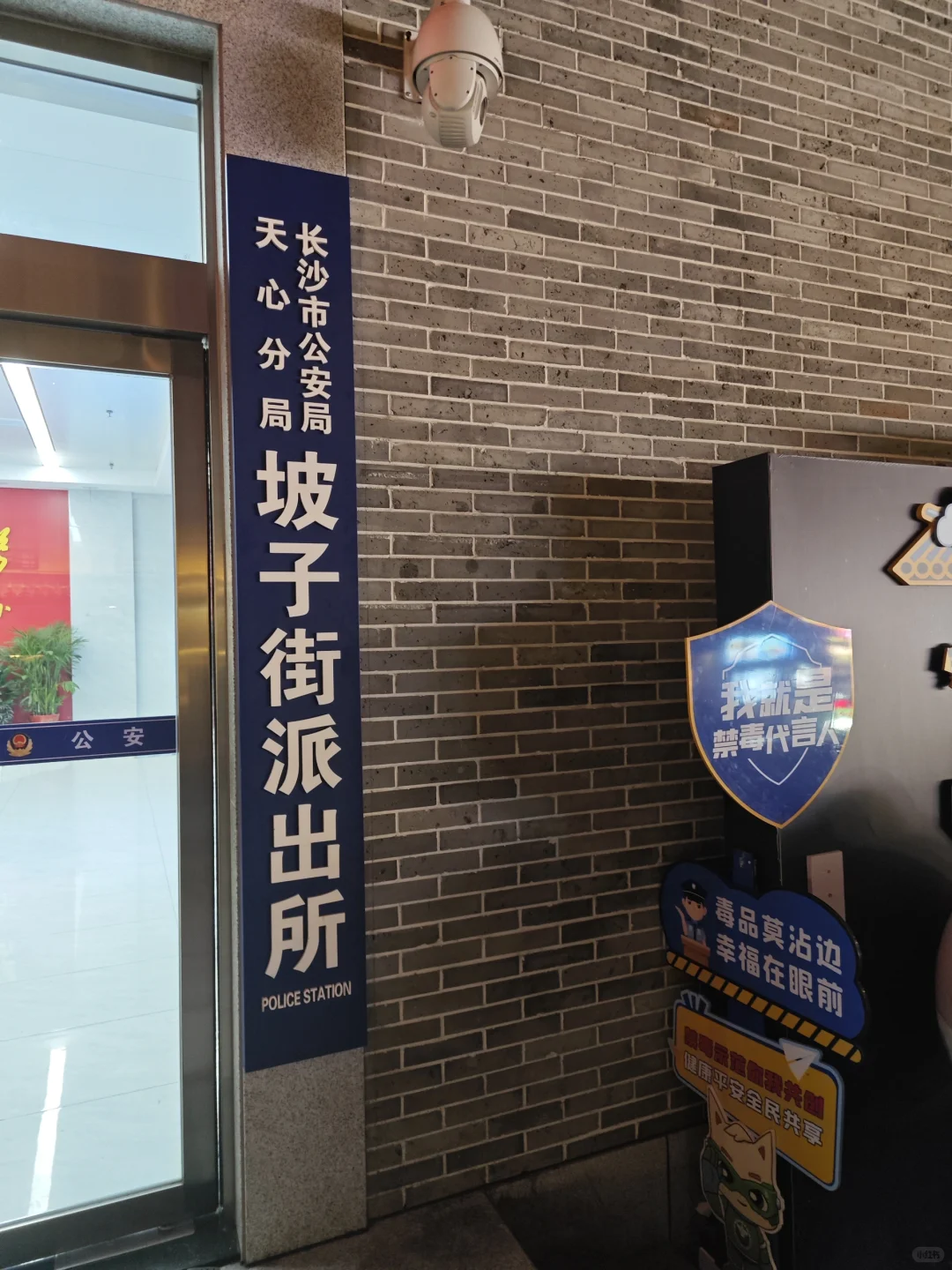 为了这18张live图我去了趟长沙...