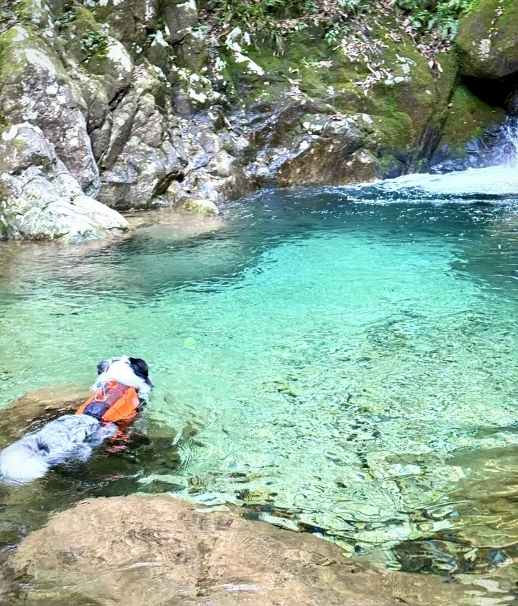 湖南人的“仙本那”｜长沙溯溪💦绝美玻璃水