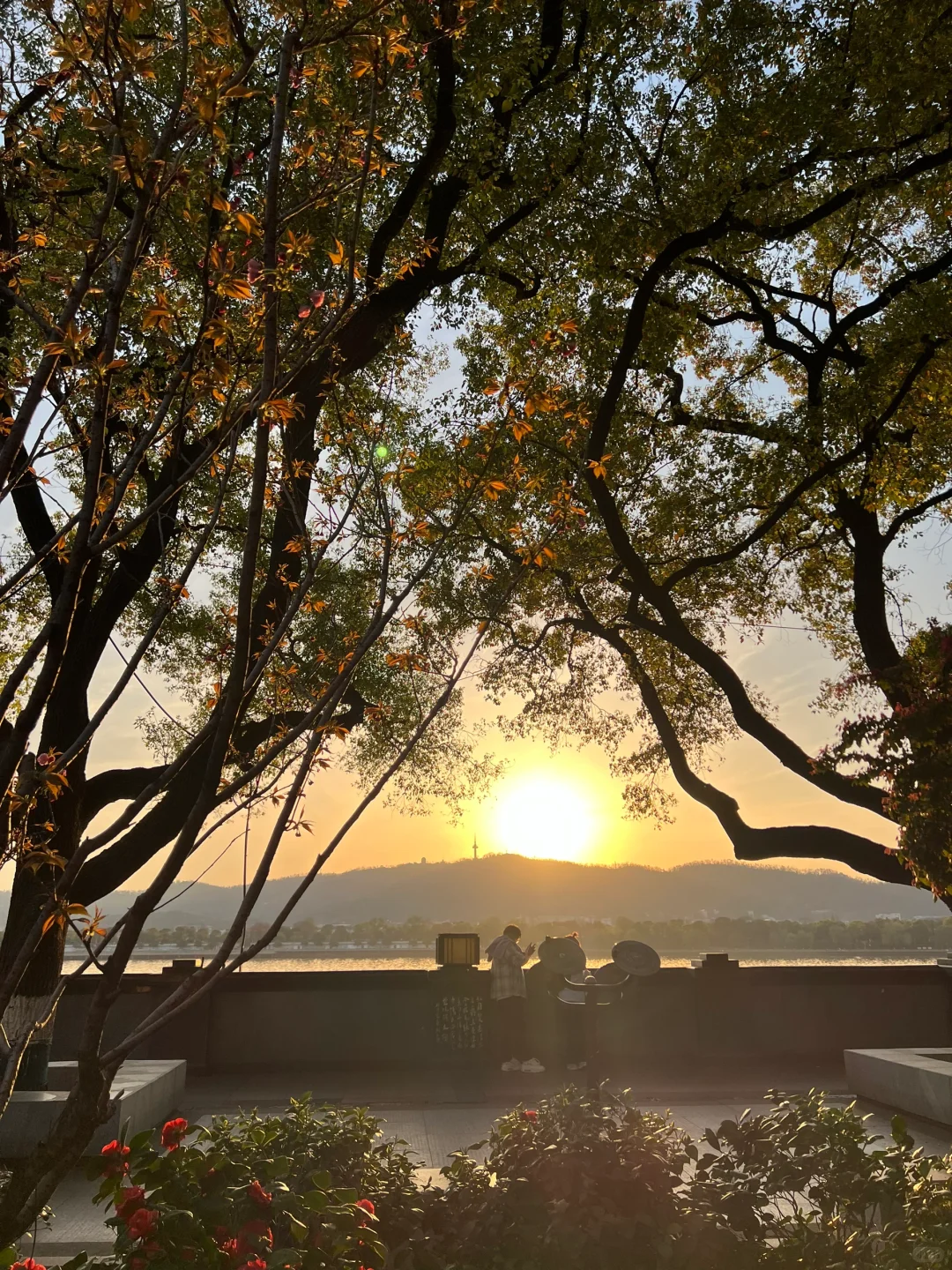 想你的風還是吹到了長沙🍃