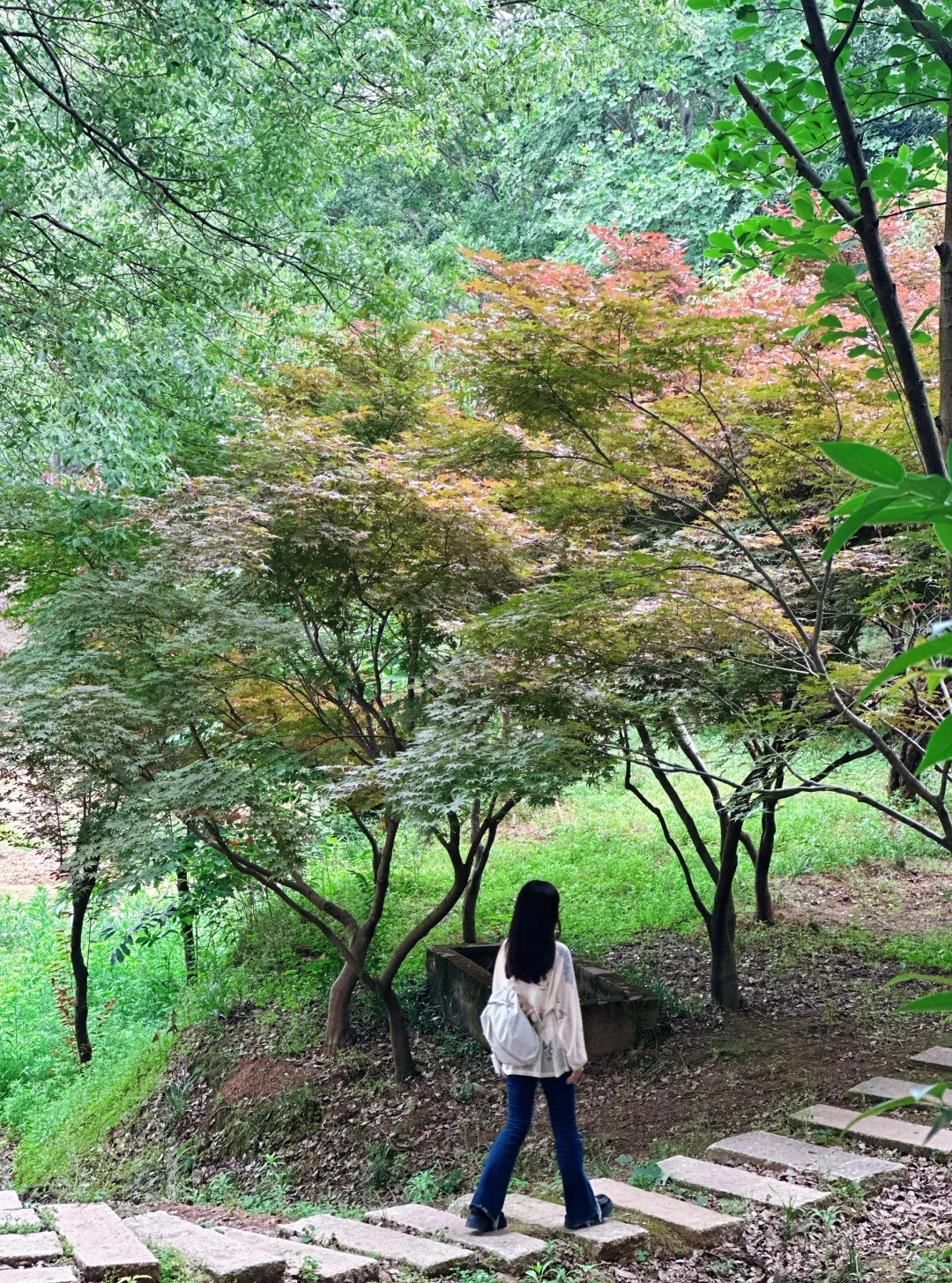 常德｜在好朋友的家乡做快乐的大人🌿