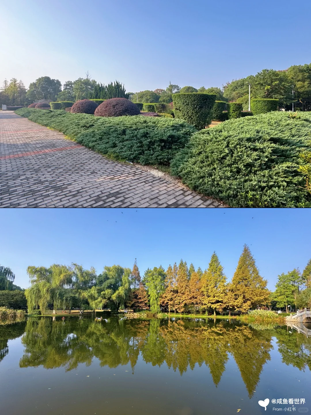 📍橘子洲｜长沙文化名片🍊