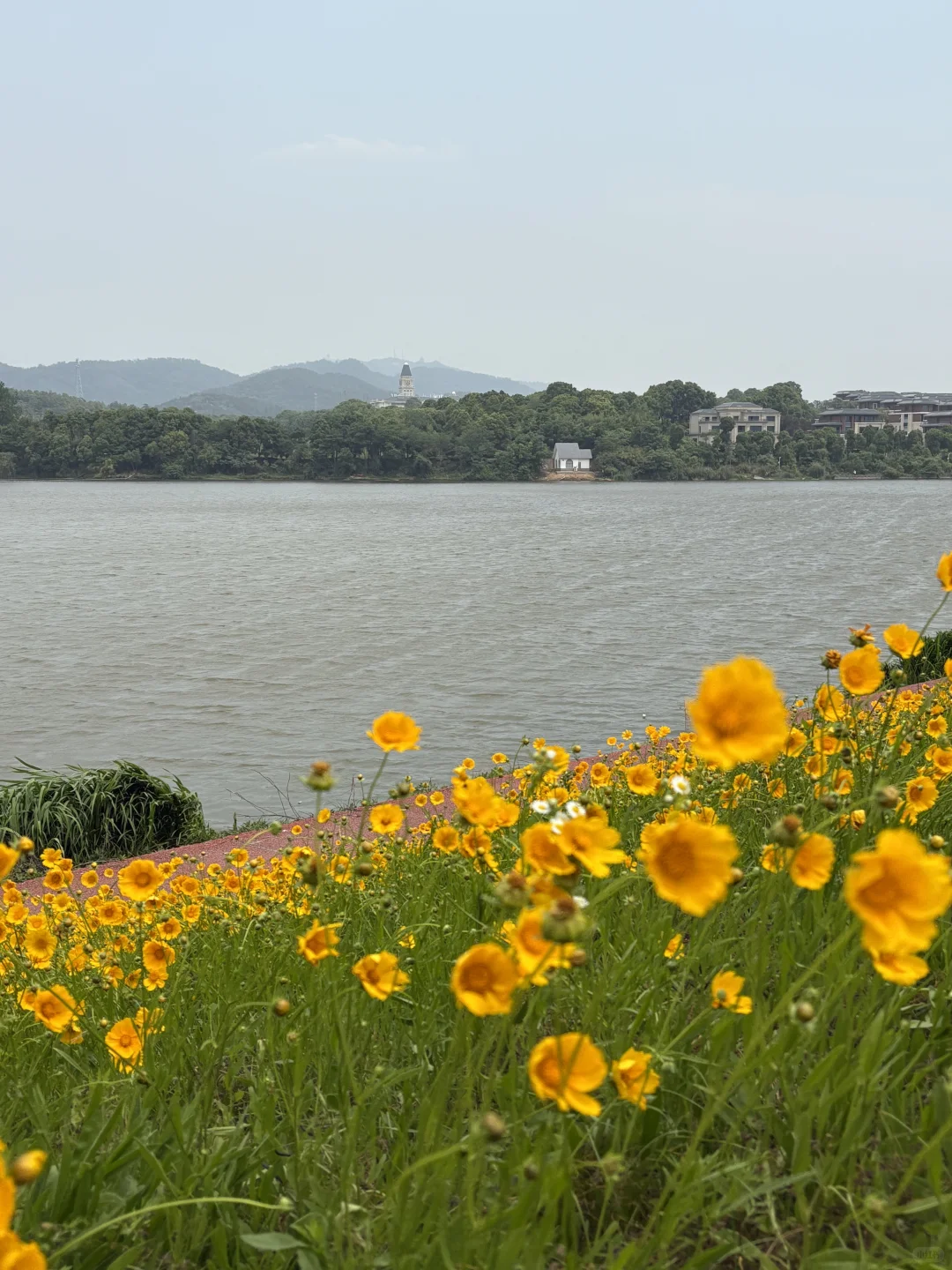 在湖南玩02｜常德两天一夜逛吃攻略❗