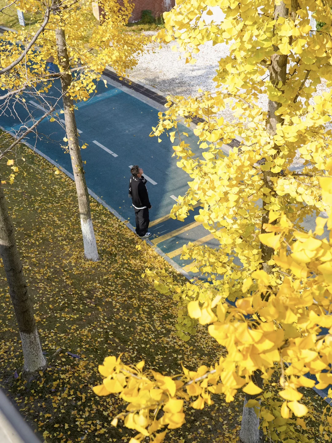 接下来的长沙🍂将迎来属于它的秋日高光时刻