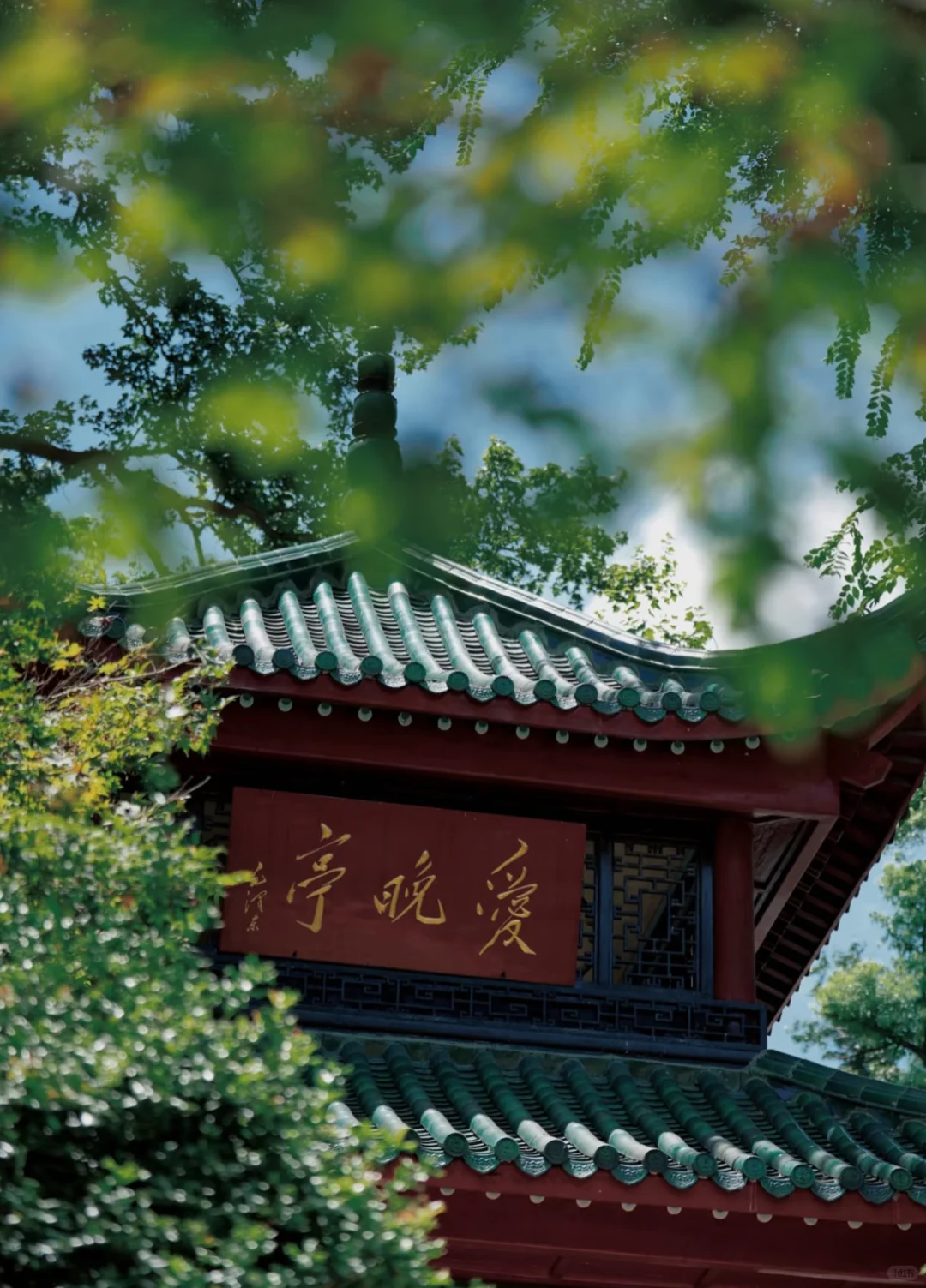 赛博朋克版长沙五日游懒人攻略