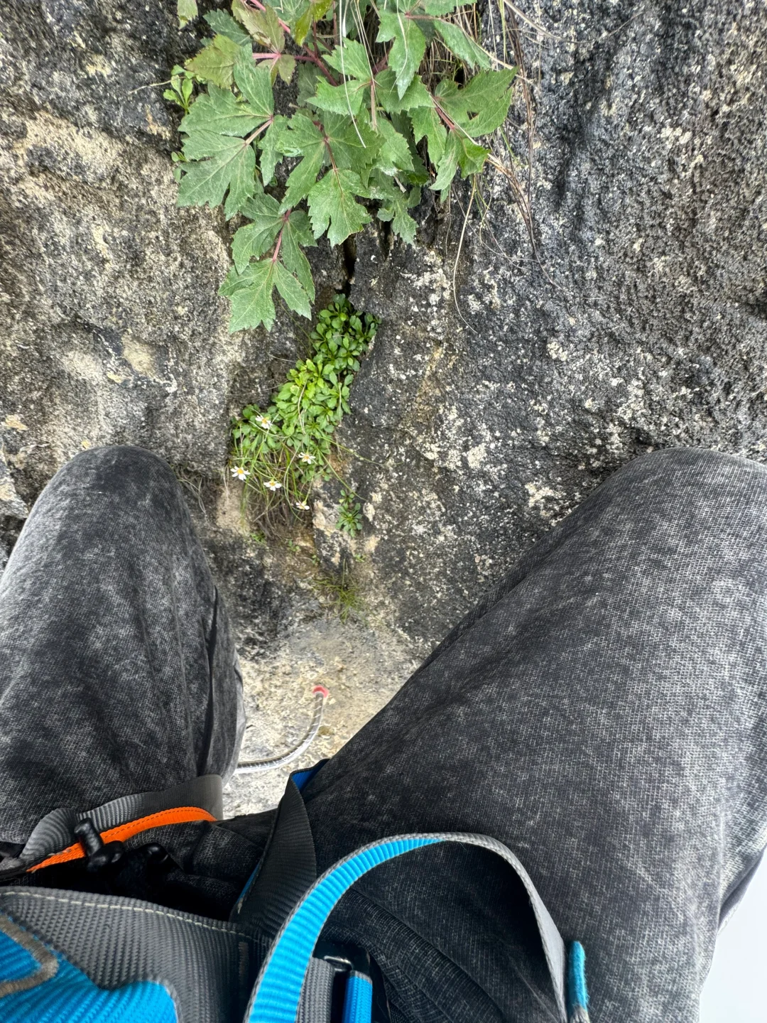 张家界day1 七星山飞拉达