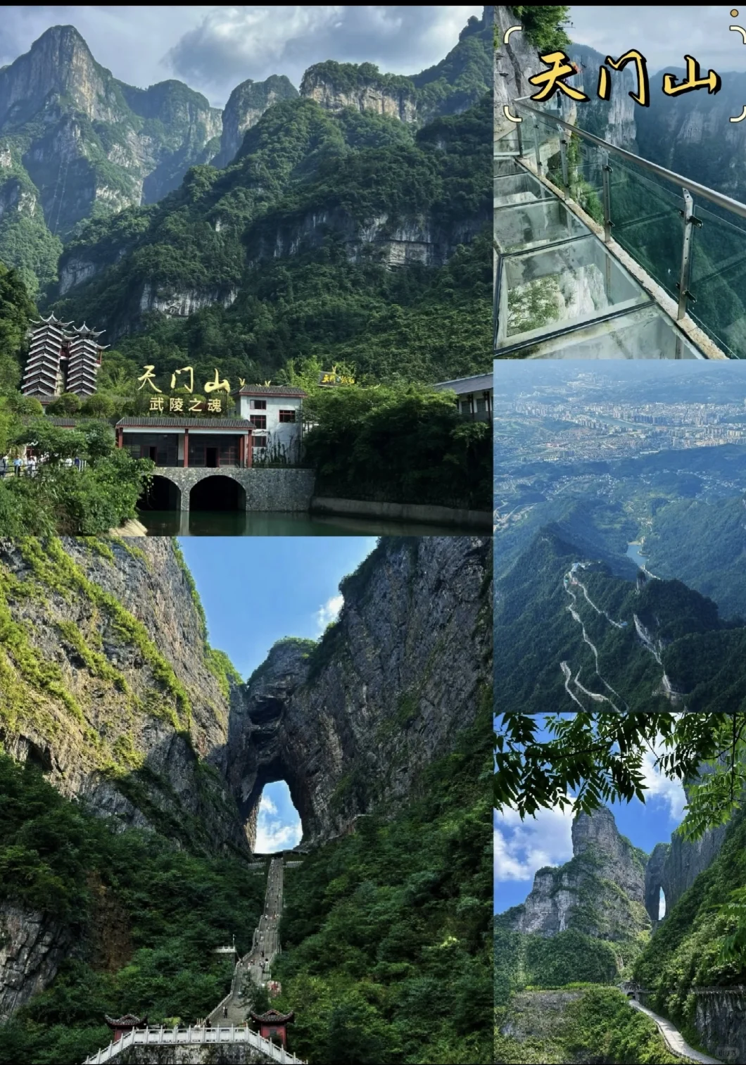 去张家界武陵源。这篇超实用省钱攻略