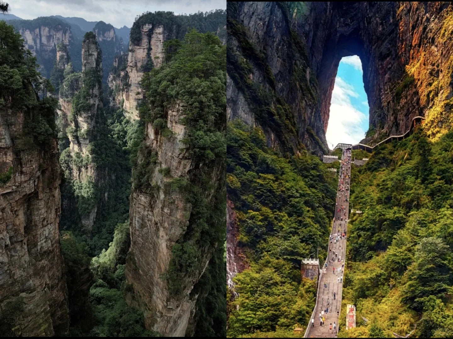 去张家界武陵源。这篇超实用省钱攻略