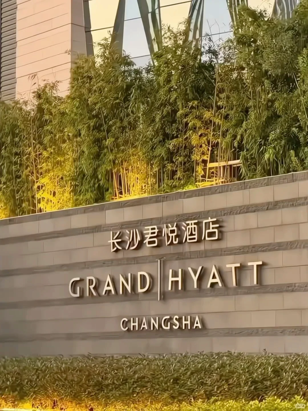 急出😭长沙君悦酒店🏨（11.23-2.28）