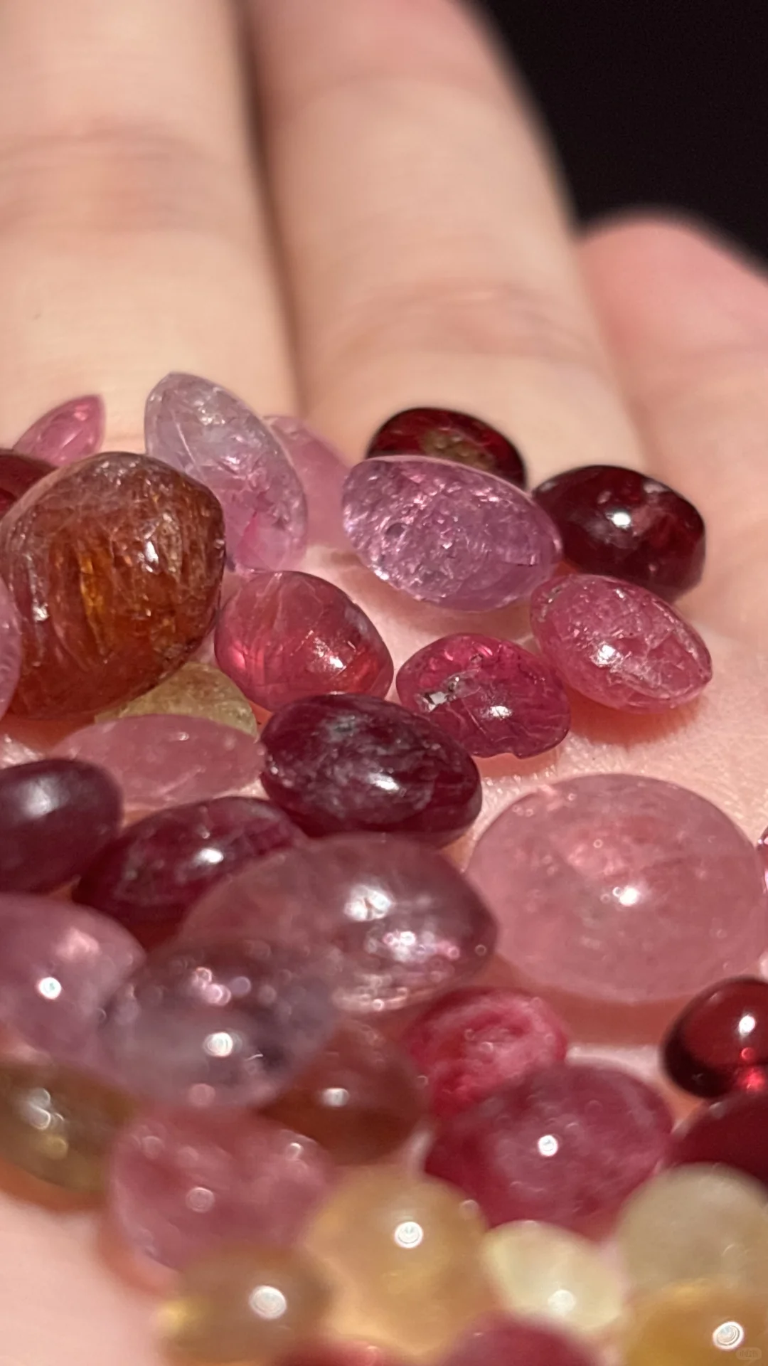 长沙古玩交流会所获