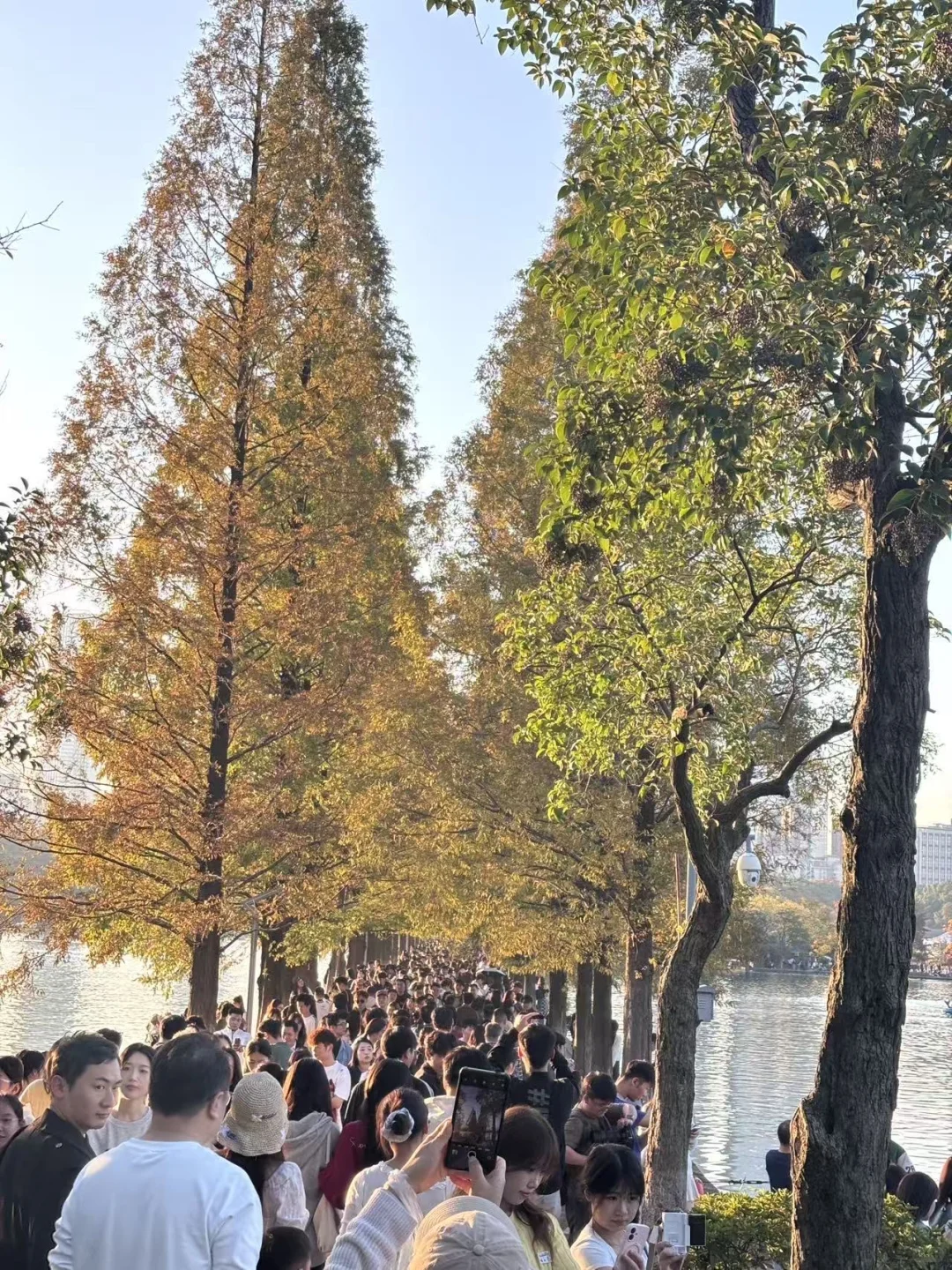 这就是秋假的威力吗长沙已被挤爆