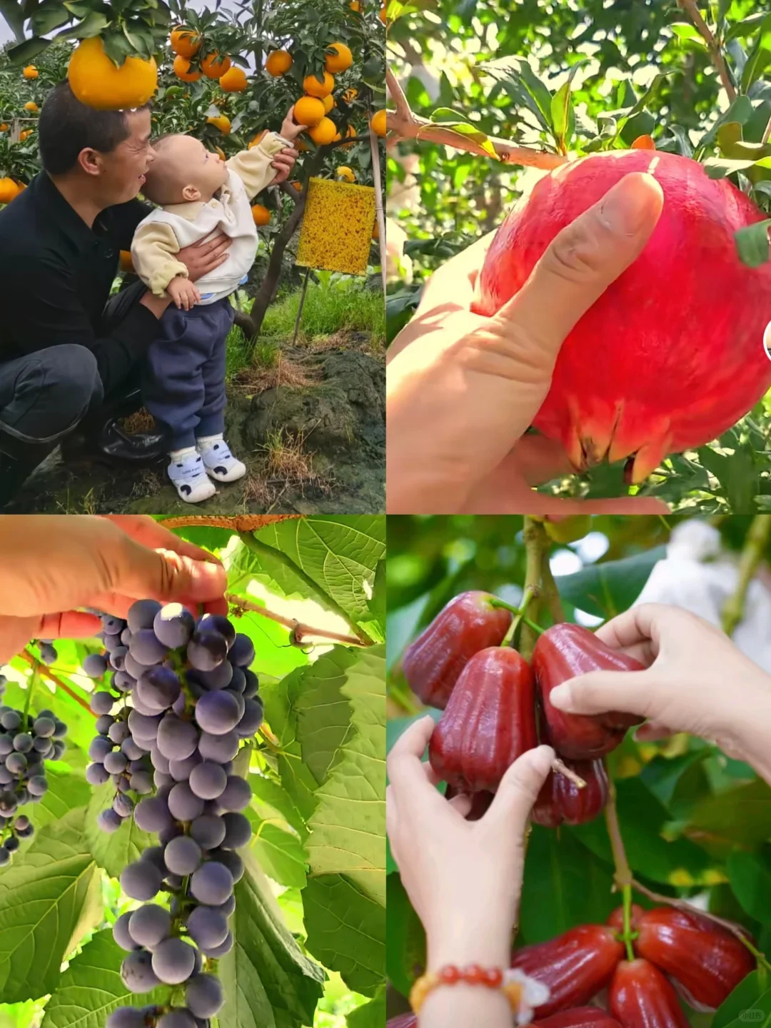 长沙团建露营聚会🏠💰98嗨玩一整天