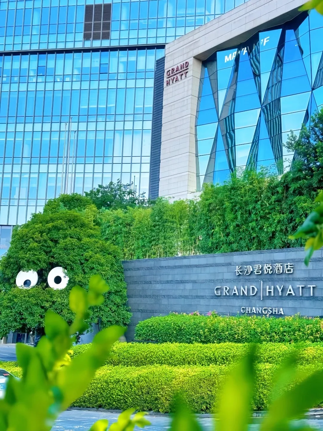 有人去长沙吗?半价出长沙君悦酒店！含双早