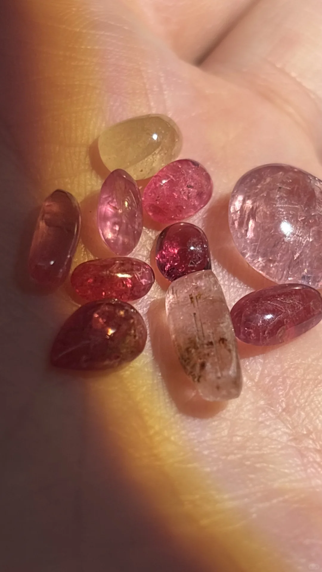 长沙古玩交流会所获