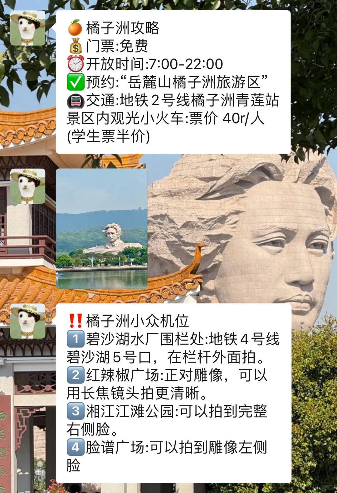 去橘子洲之前要知道的‼️