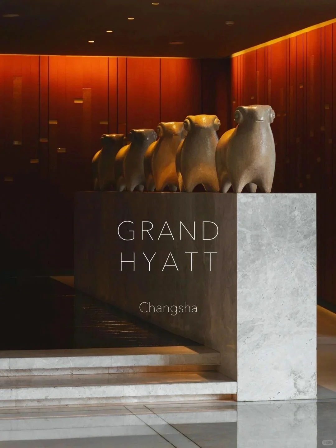 半价转（11.20-2.28）长沙君悦酒店🏨含早