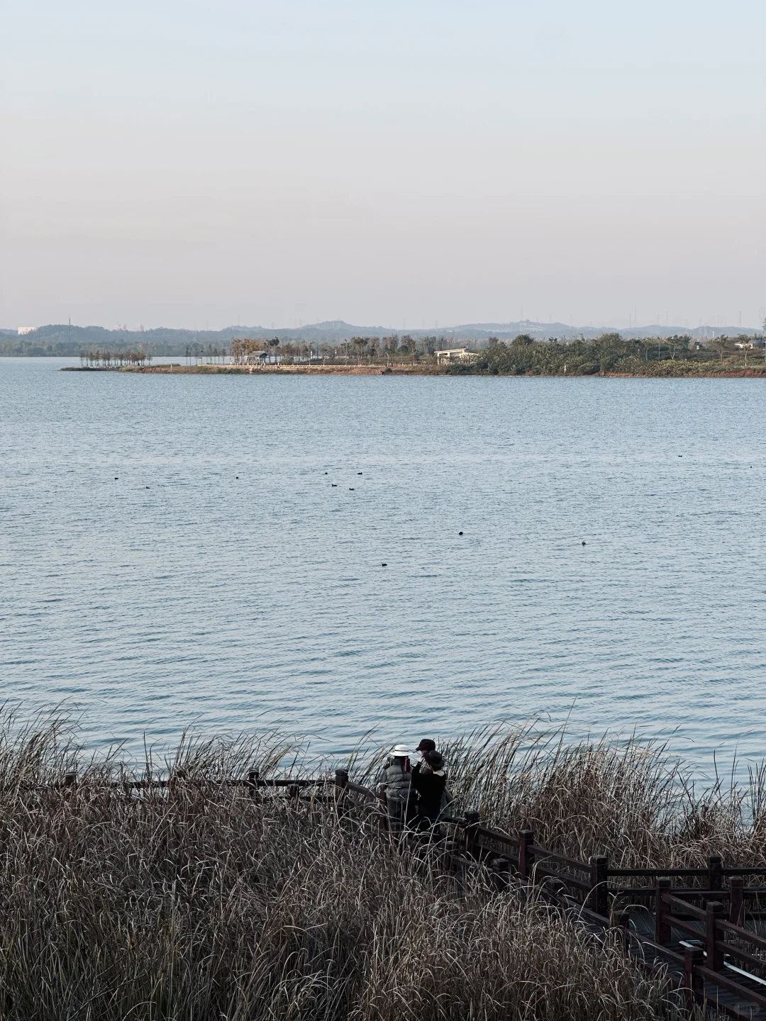 长沙最像海边的地方🌊秋日看海机位