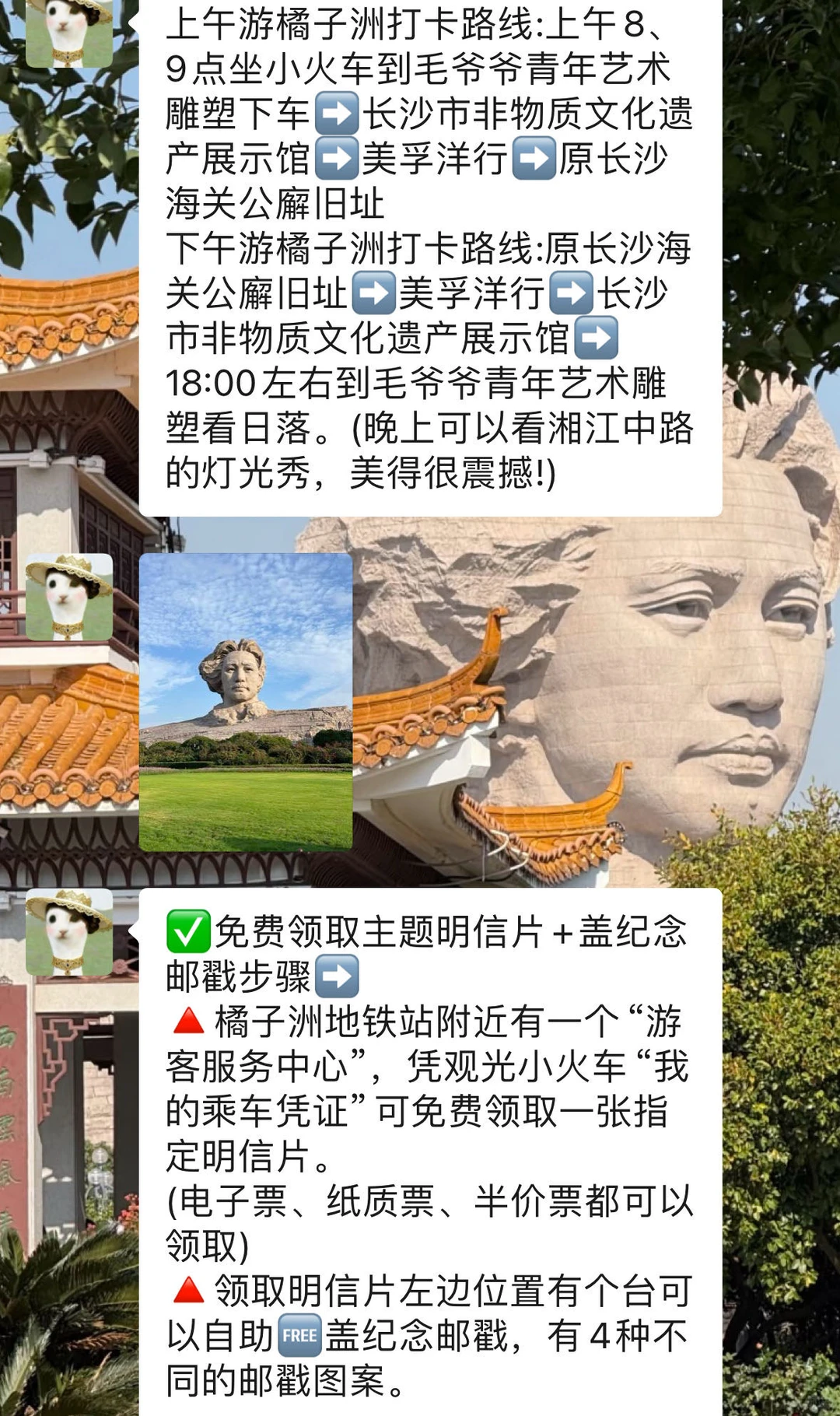 去橘子洲之前要知道的‼️