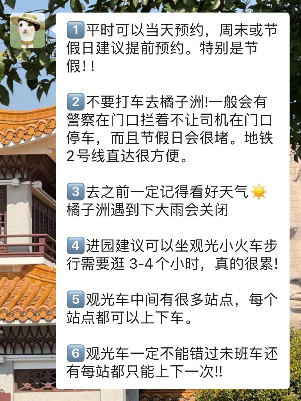 去橘子洲之前要知道的‼️