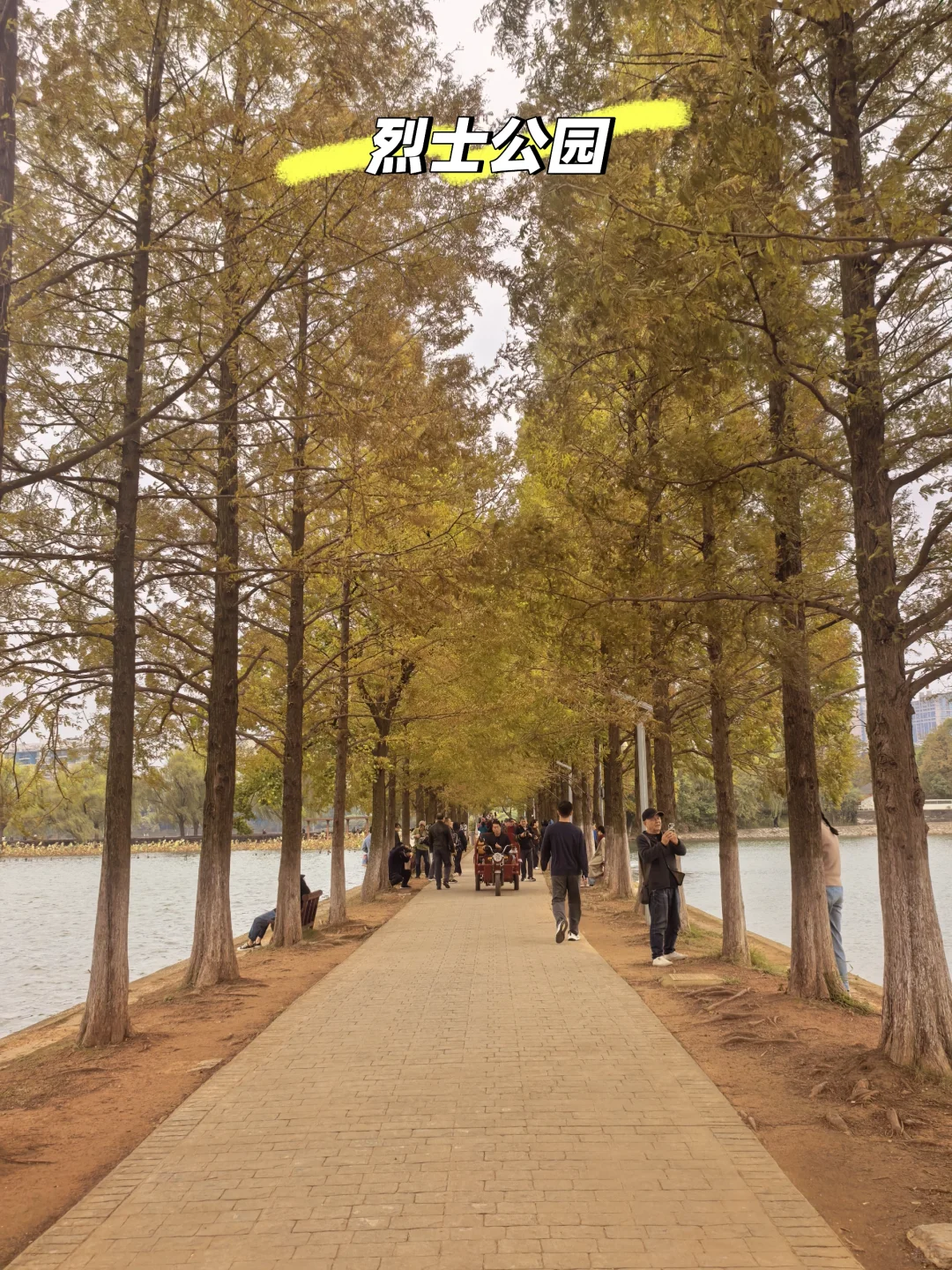 长沙|两天两夜详细攻略