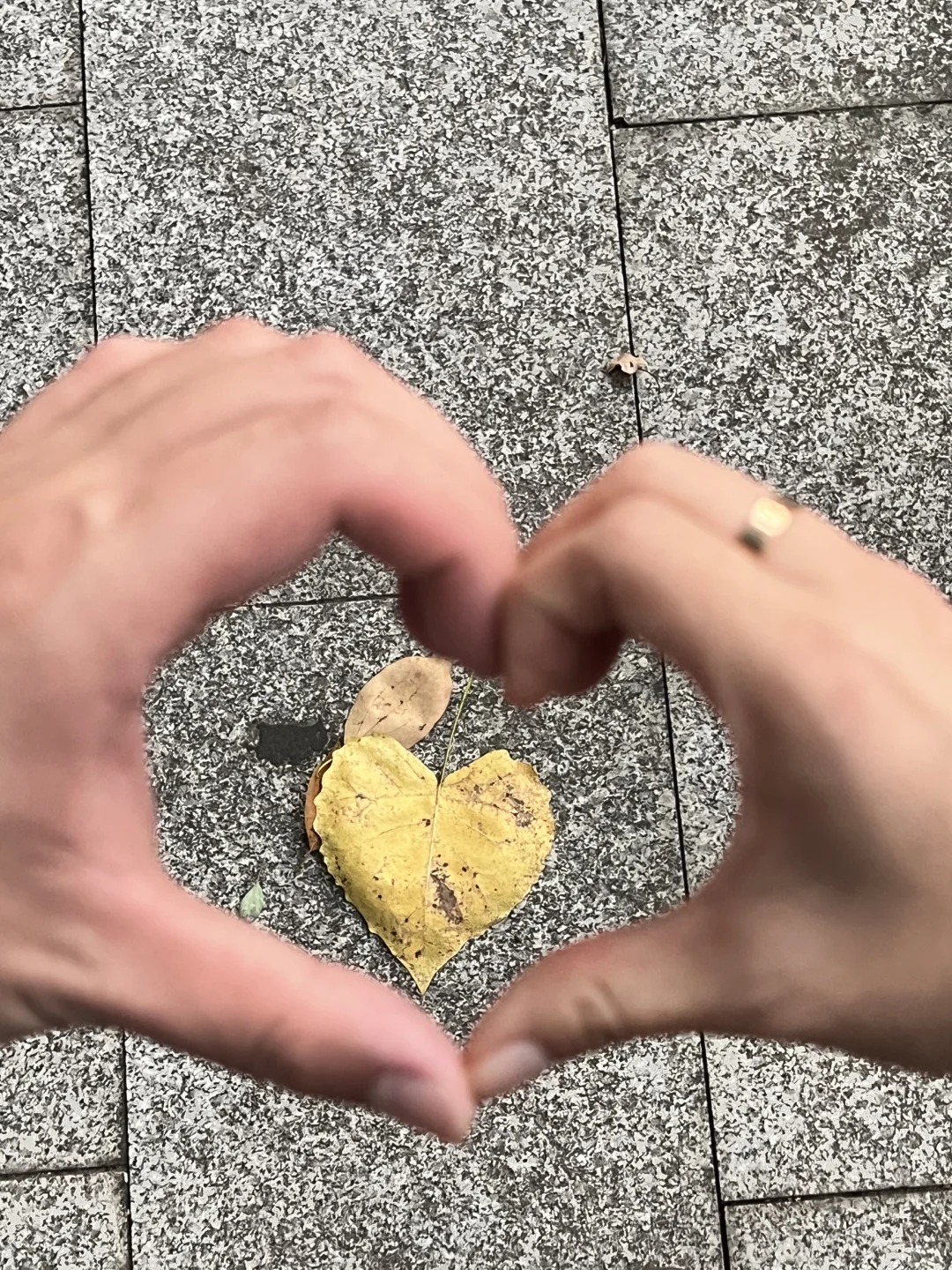 和爱的人一起走在沅江大桥上