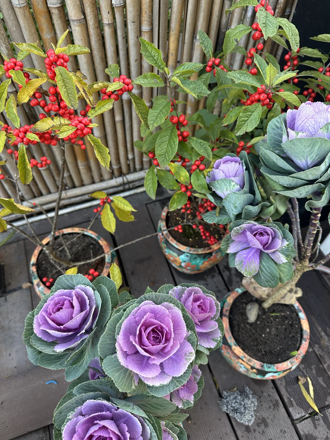 咖啡搭子速来！在常德柳叶湖浪漫系咖啡厅