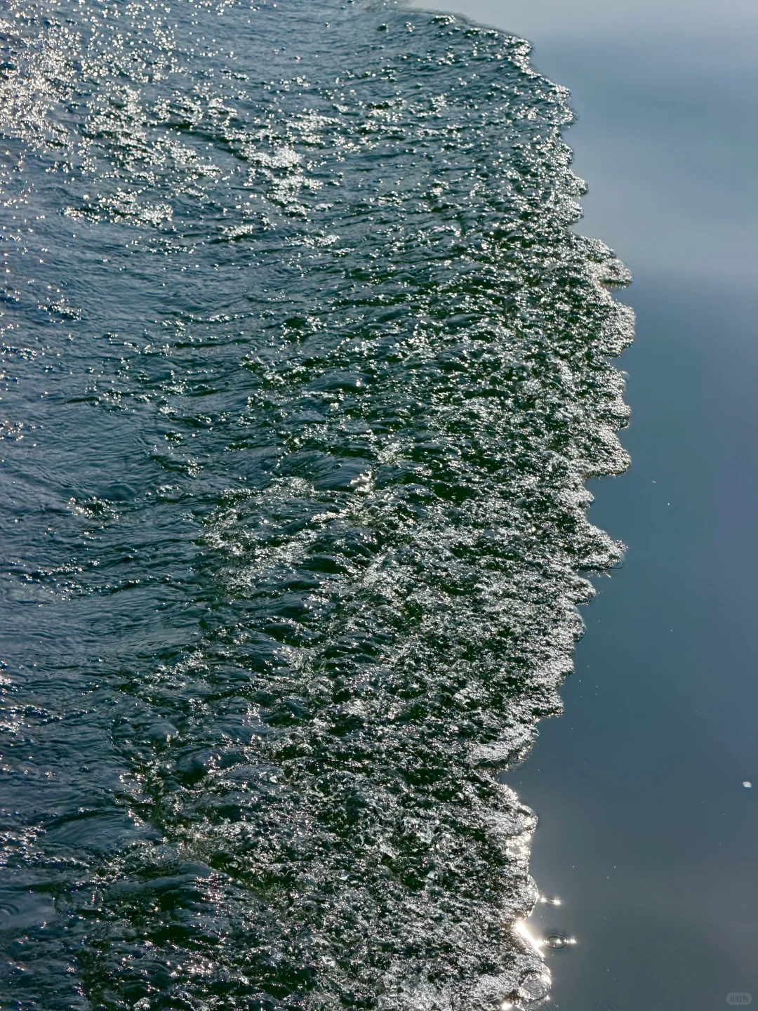 常德周边的小岛：白鳞洲